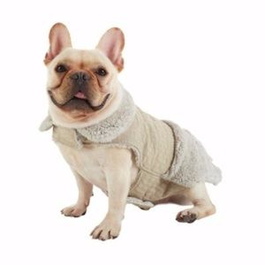 ugg dog sweater